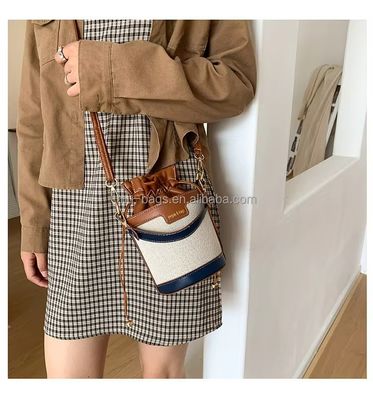 Elegante sacchetto di design di lusso per donne e ragazze con cuoio e due colori